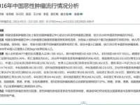  澳网最新形势：切尔西高居榜首，菲尼克斯太阳强势追赶，冠军归属成迷