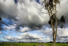 关于足球赛事精彩十足，球场上风起云涌的信息